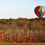 Autumn Flight