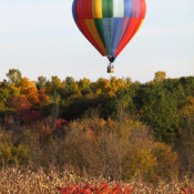 New York Autumn