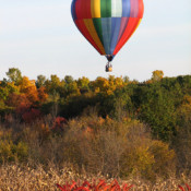 New York Autumn