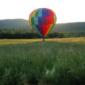 Field Landing