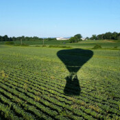 Field shadow